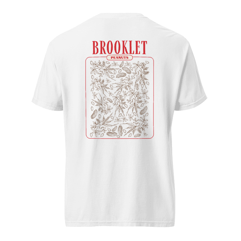 Home of the Peanut - Brooklet, Georgia - Unisex Comfort Colors garment-dyed heavyweight t-shirt