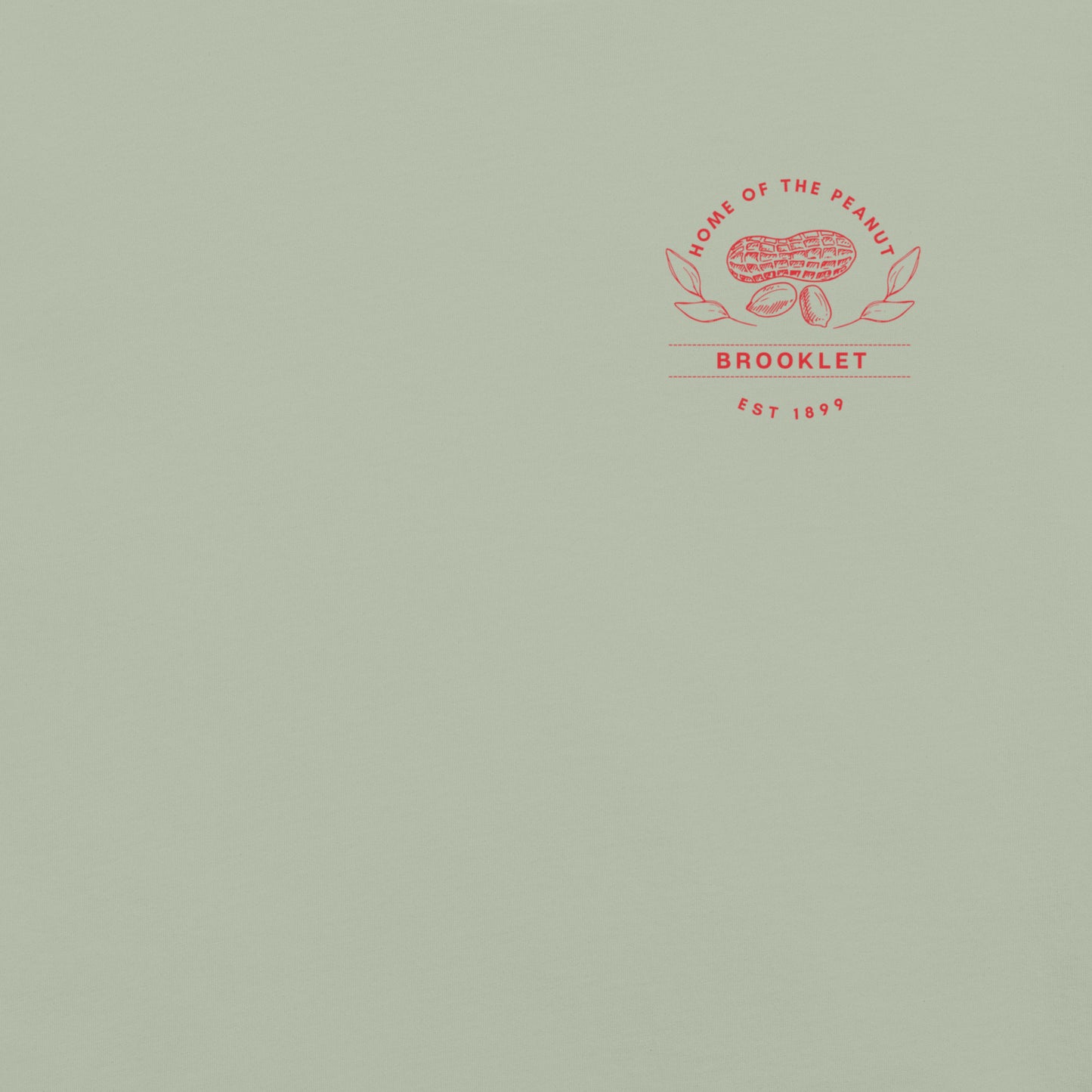 Home of the Peanut - Brooklet, Georgia - Unisex Comfort Colors garment-dyed heavyweight t-shirt