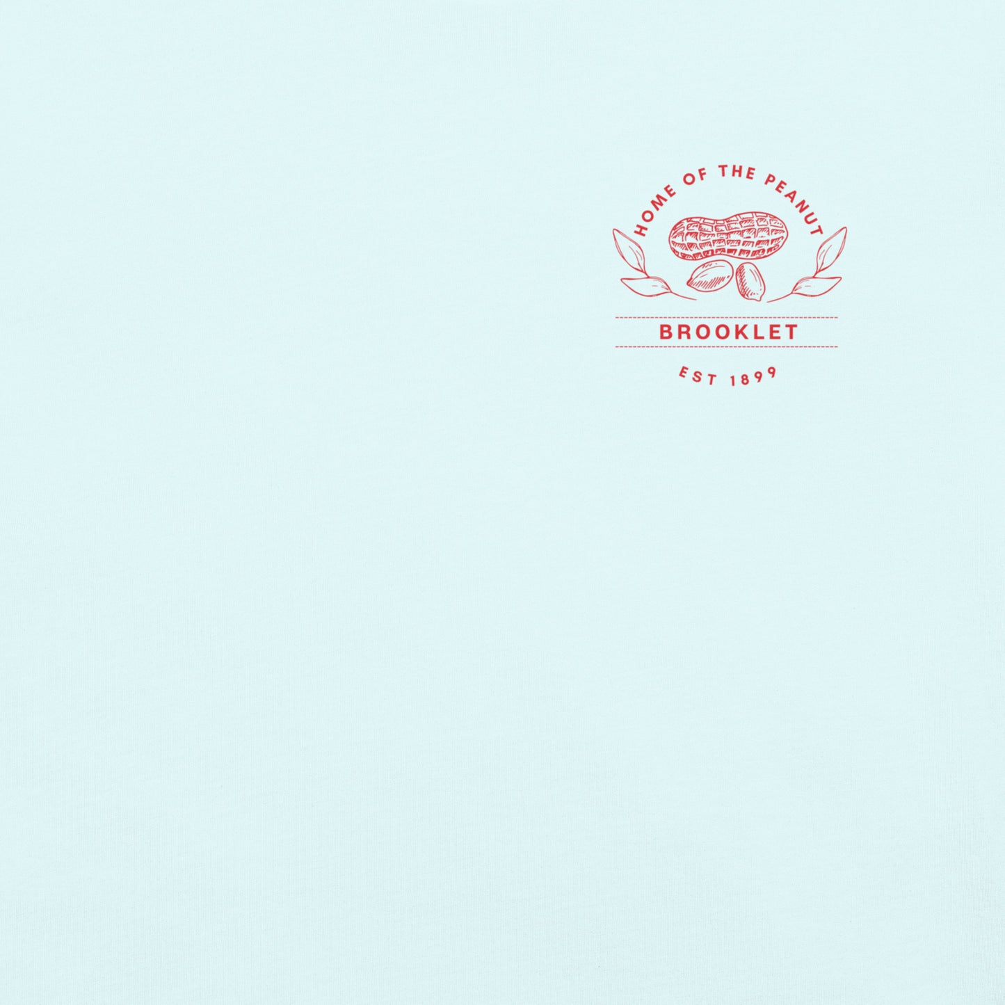 Home of the Peanut - Brooklet, Georgia - Unisex Comfort Colors garment-dyed heavyweight t-shirt