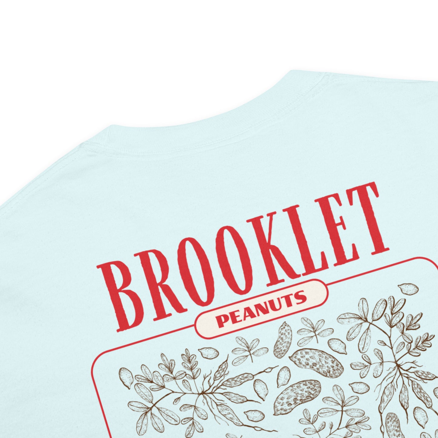 Home of the Peanut - Brooklet, Georgia - Unisex Comfort Colors garment-dyed heavyweight t-shirt