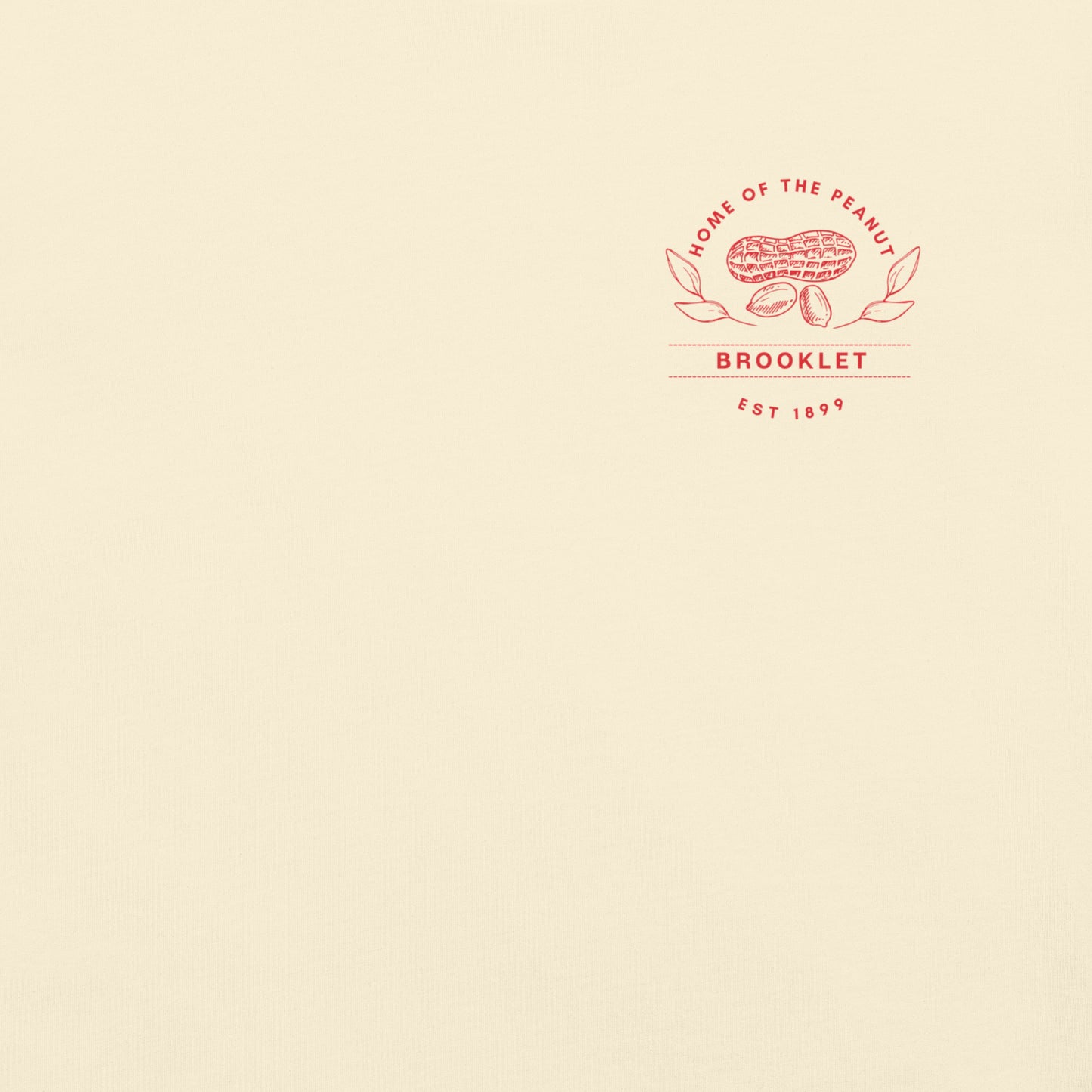 Home of the Peanut - Brooklet, Georgia - Unisex Comfort Colors garment-dyed heavyweight t-shirt