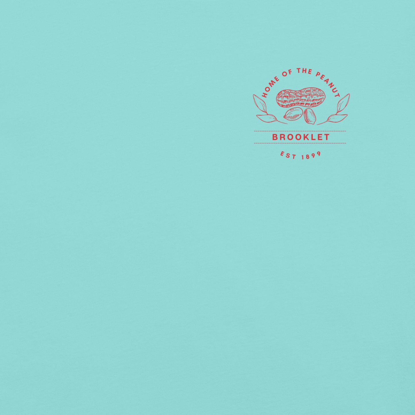 Home of the Peanut - Brooklet, Georgia - Unisex Comfort Colors garment-dyed heavyweight t-shirt