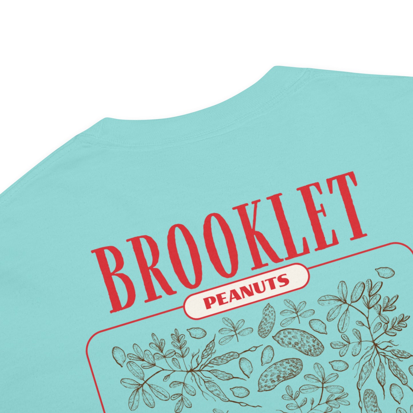 Home of the Peanut - Brooklet, Georgia - Unisex Comfort Colors garment-dyed heavyweight t-shirt