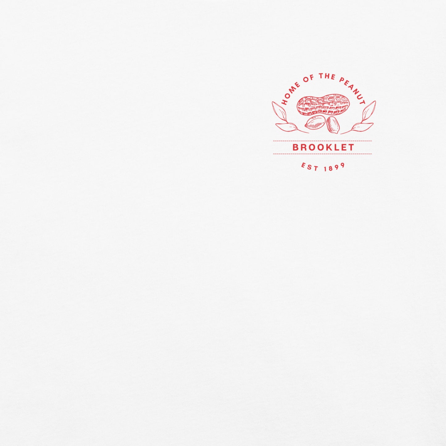 Home of the Peanut - Brooklet, Georgia - Unisex Comfort Colors garment-dyed heavyweight t-shirt
